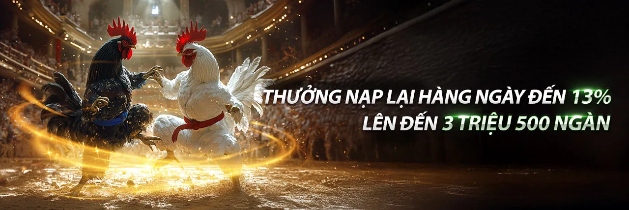 Đá Gà Trực Tuyến 3King